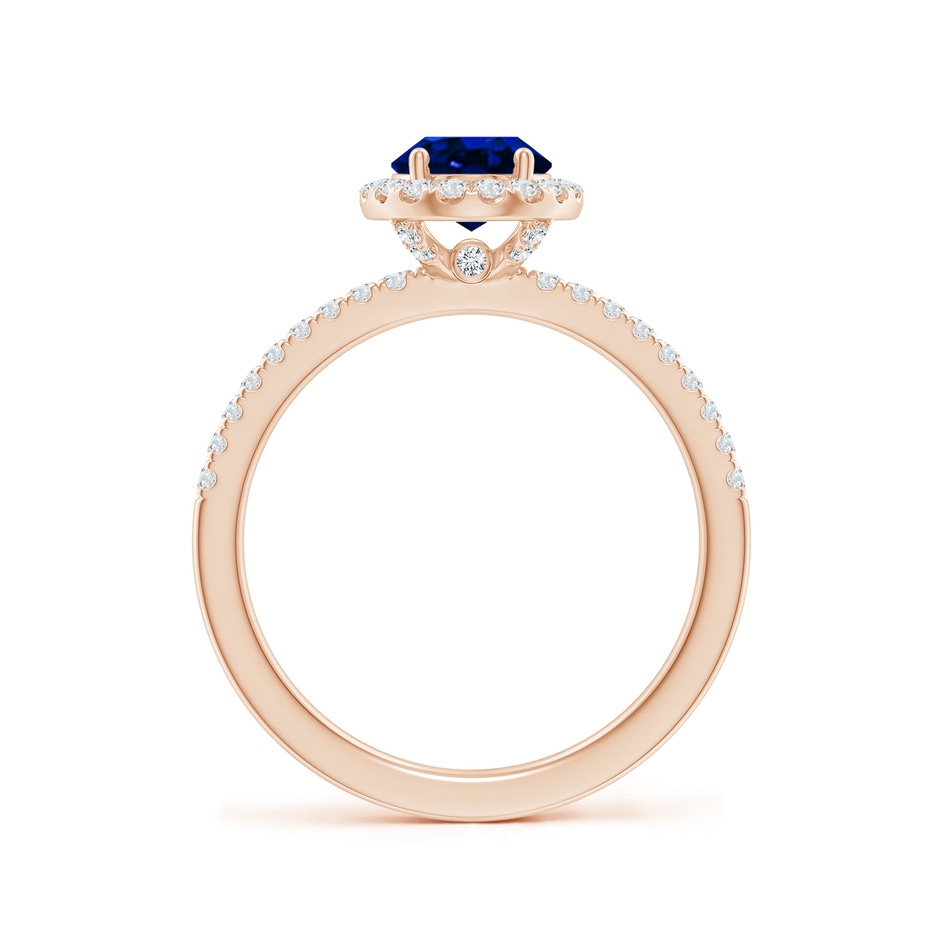 8x6mm AAAA Oval Blue Sapphire Classic Halo Engagement Ring in Rose Gold side 199