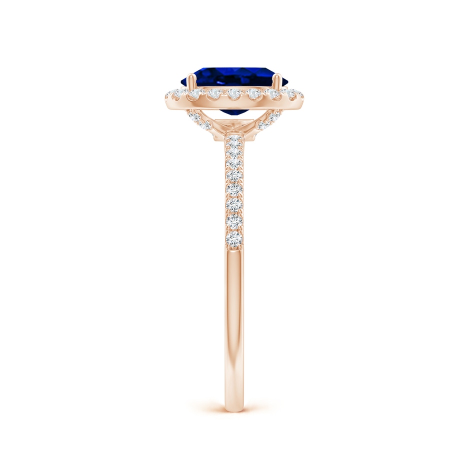 8x6mm AAAA Oval Blue Sapphire Classic Halo Engagement Ring in Rose Gold side 299