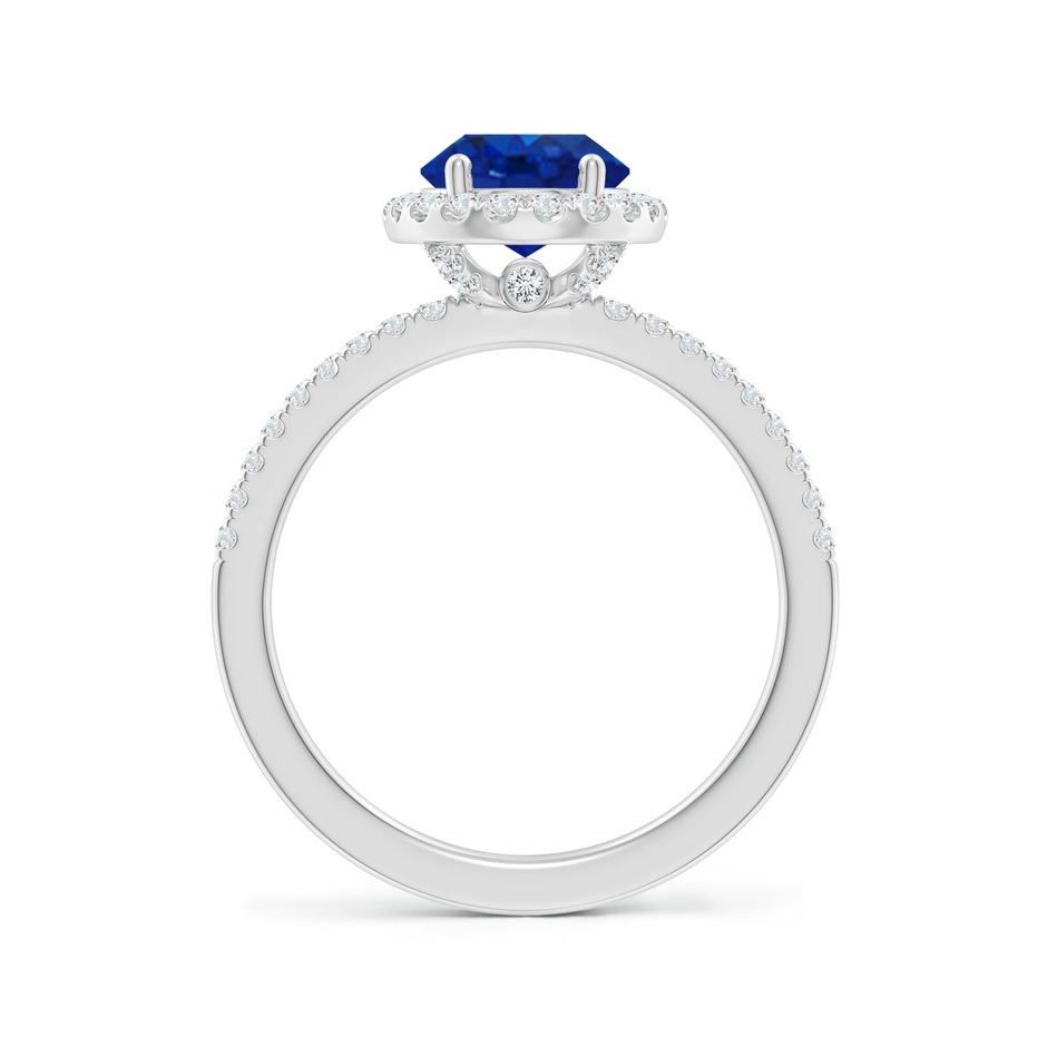 9x7mm AAA Oval Blue Sapphire Classic Halo Engagement Ring in P950 Platinum side 199