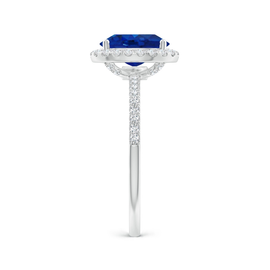 9x7mm AAA Oval Blue Sapphire Classic Halo Engagement Ring in P950 Platinum side 299
