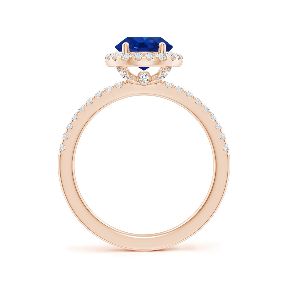 9x7mm AAA Oval Blue Sapphire Classic Halo Engagement Ring in Rose Gold side 199