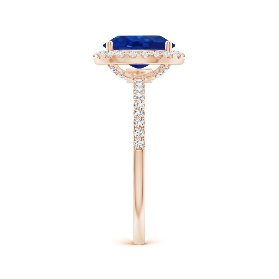 9x7mm AAA Oval Blue Sapphire Classic Halo Engagement Ring in Rose Gold side 299