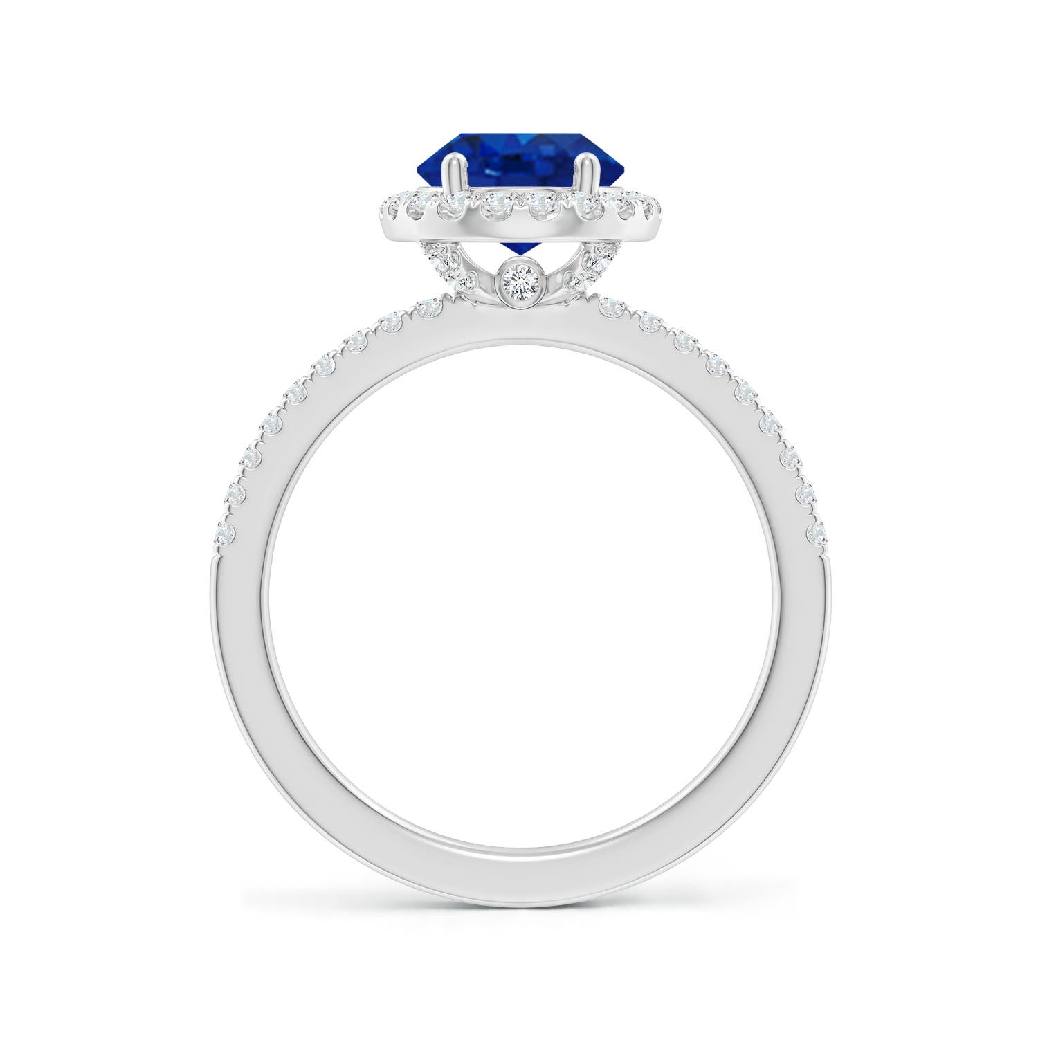 9x7mm AAA Oval Blue Sapphire Classic Halo Engagement Ring in White Gold - side 2