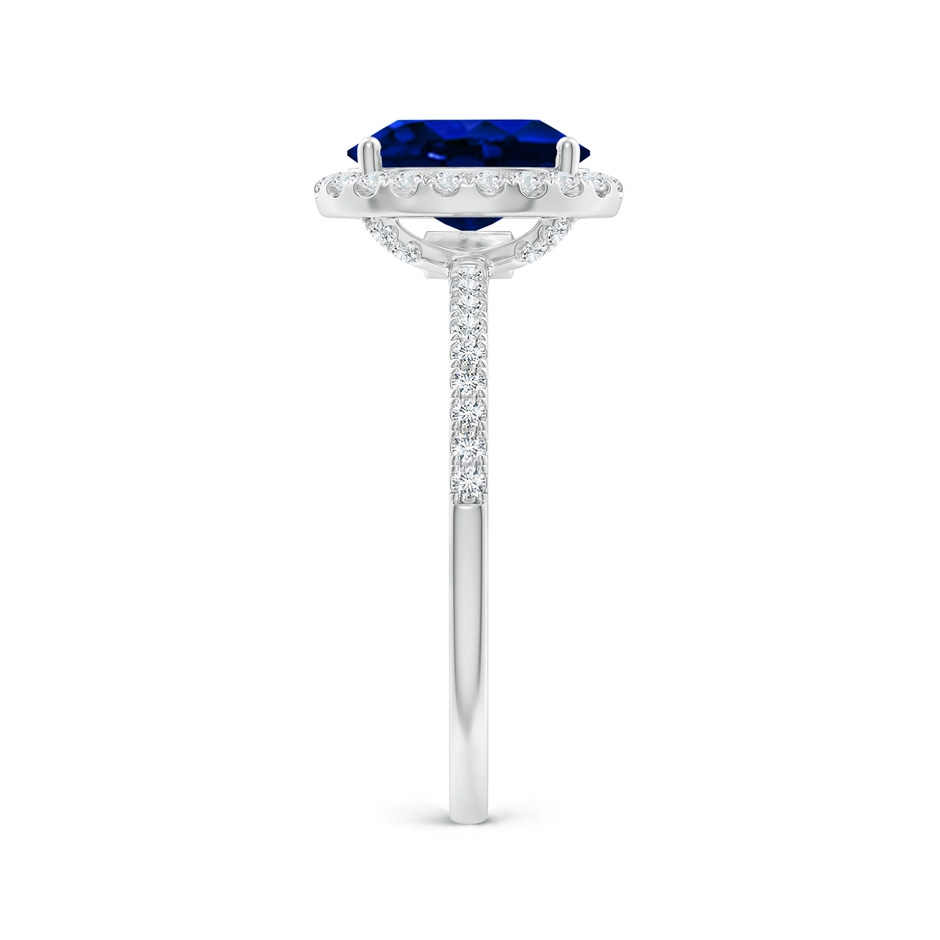 9x7mm AAAA Oval Blue Sapphire Classic Halo Engagement Ring in P950 Platinum side 299