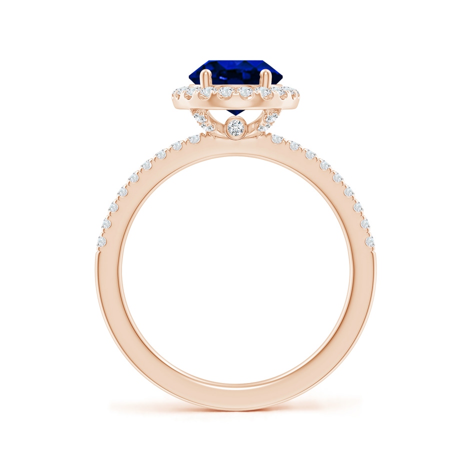 9x7mm AAAA Oval Blue Sapphire Classic Halo Engagement Ring in Rose Gold side 199