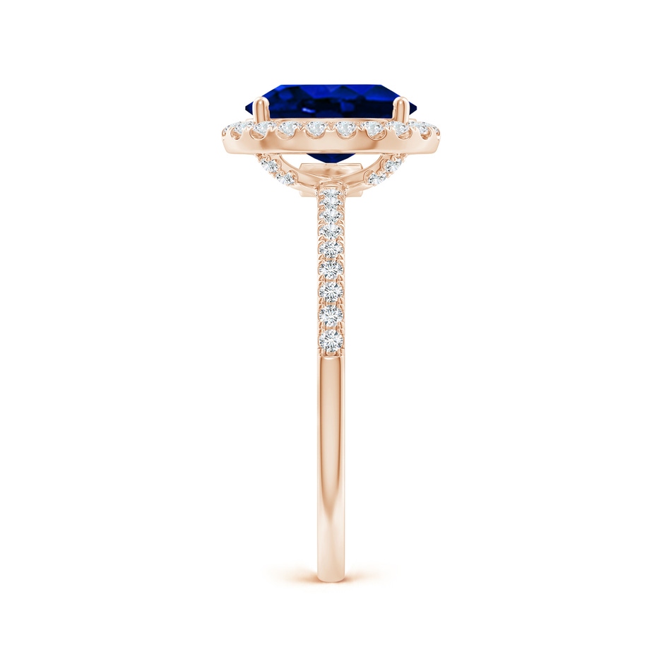 9x7mm AAAA Oval Blue Sapphire Classic Halo Engagement Ring in Rose Gold side 299