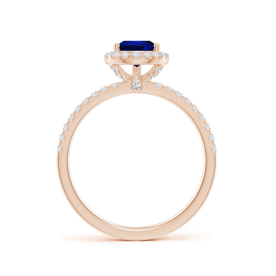 8x6mm AAAA Pear-Shaped Blue Sapphire Classic Halo Engagement Ring in Rose Gold side 199