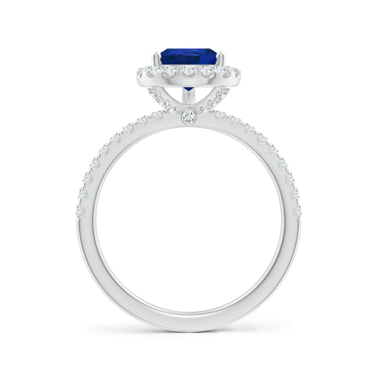 9x7mm AAA Pear-Shaped Blue Sapphire Classic Halo Engagement Ring in White Gold - side 2