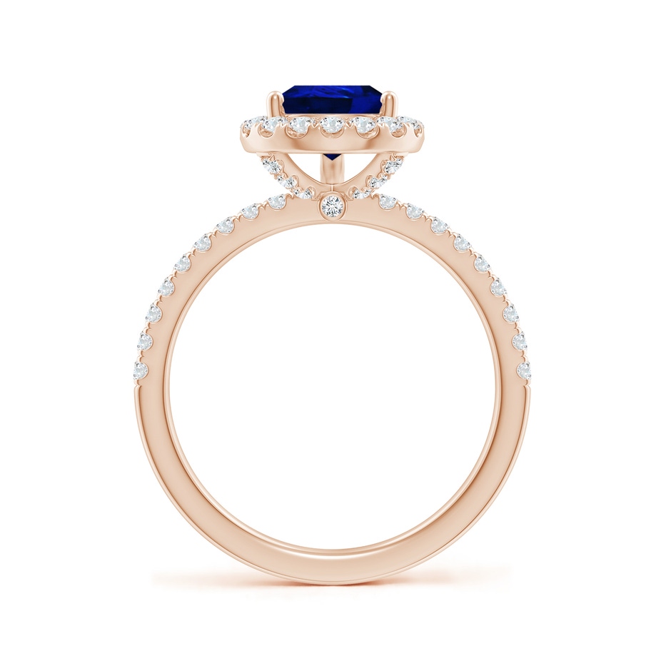9x7mm AAAA Pear-Shaped Blue Sapphire Classic Halo Engagement Ring in Rose Gold side 199