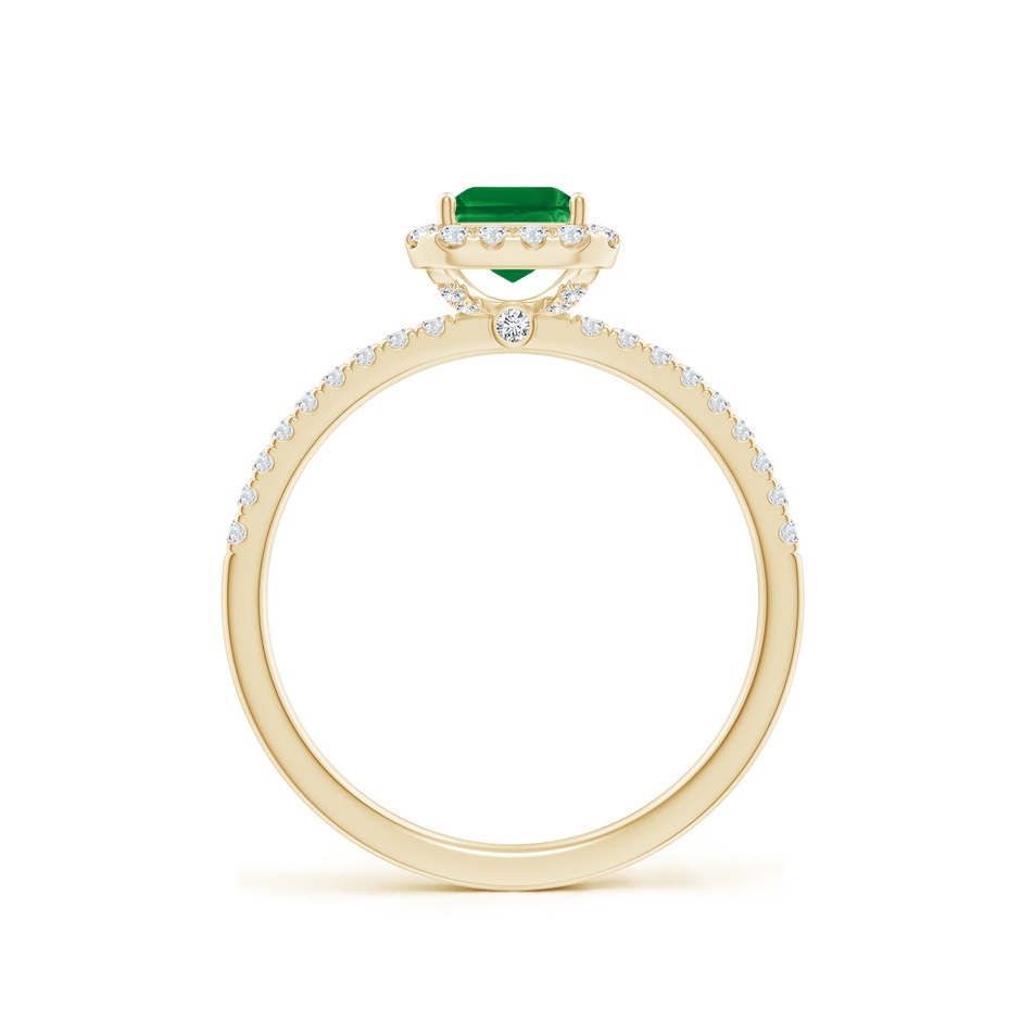 7x5mm AAA Emerald-Cut Emerald Classic Halo Engagement Ring in Yellow Gold side 199