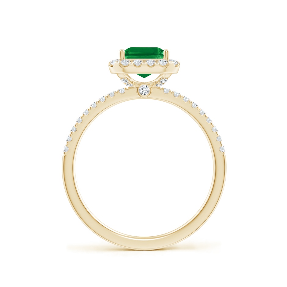 8x6mm AAA Emerald-Cut Emerald Classic Halo Engagement Ring in Yellow Gold side 199