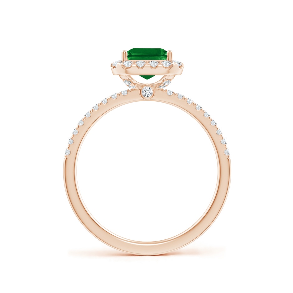 8x6mm AAAA Emerald-Cut Emerald Classic Halo Engagement Ring in Rose Gold side 199