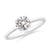 3/4 carat