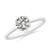 3/4 carat