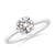 1 carat