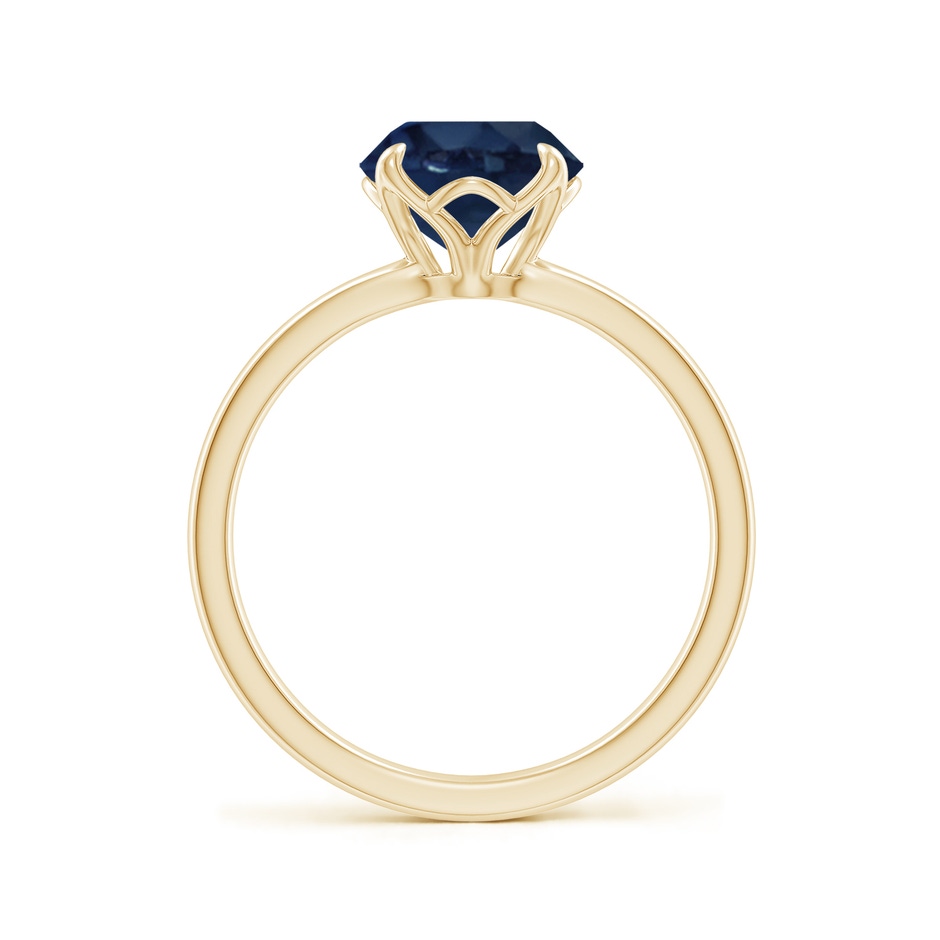 8mm AA Solitaire Round Blue Sapphire Classic Engagement Ring in Yellow Gold side 199