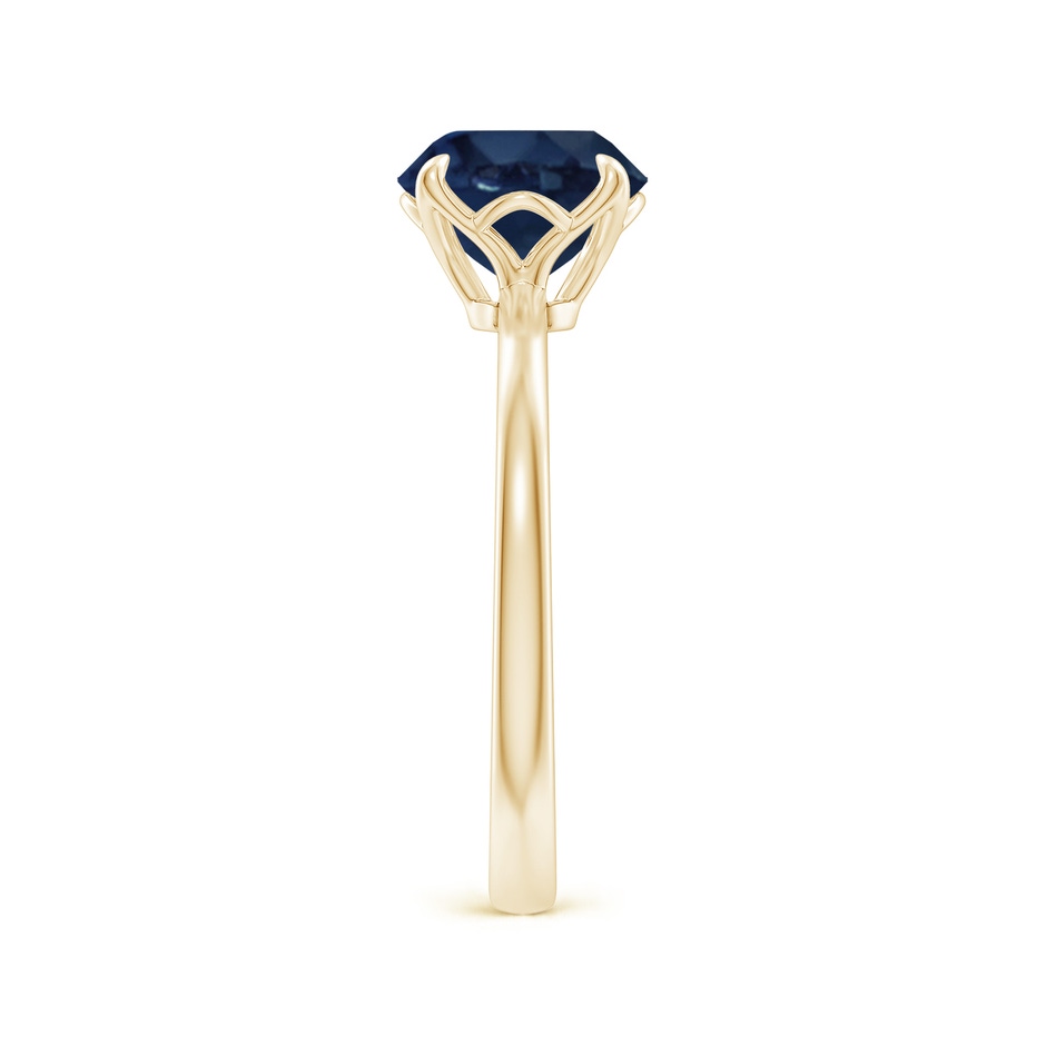 8mm AA Solitaire Round Blue Sapphire Classic Engagement Ring in Yellow Gold side 299