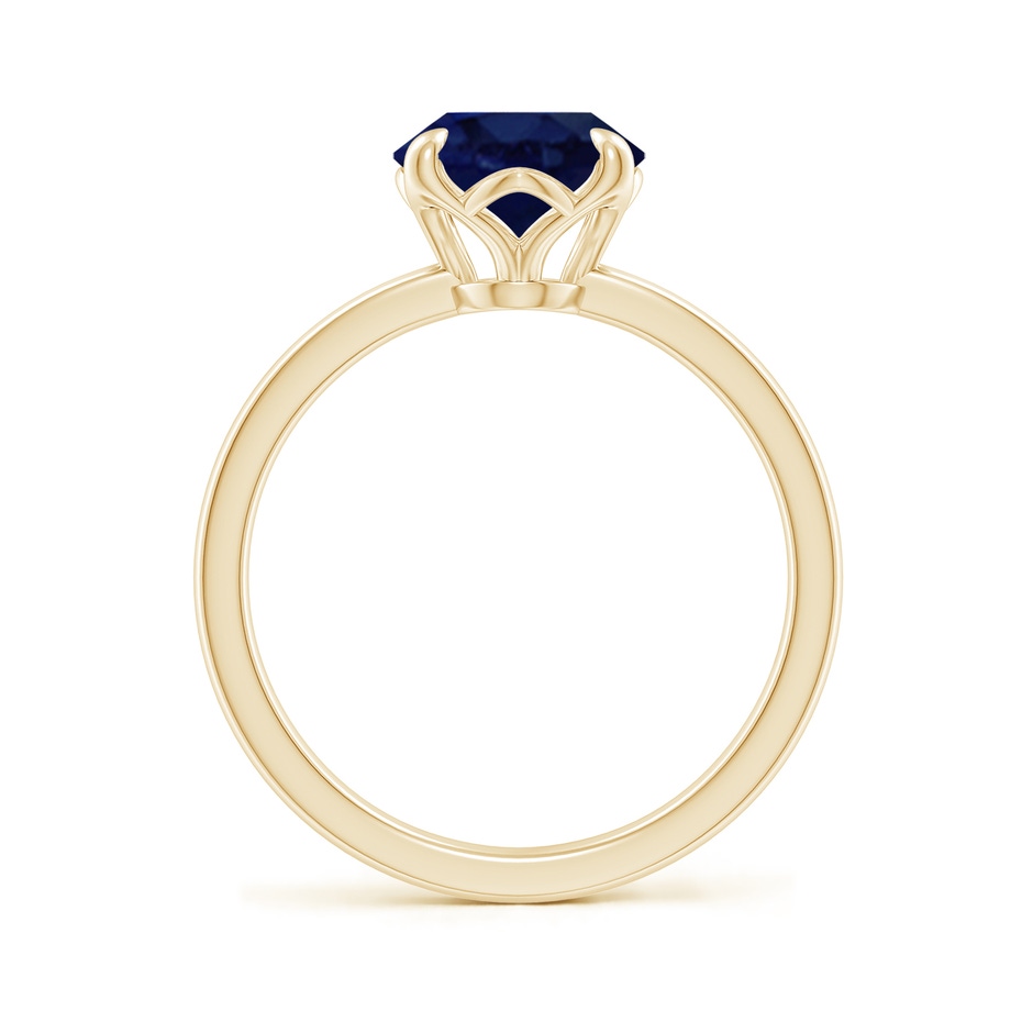 10x8mm A Solitaire Oval Blue Sapphire Classic Engagement Ring in Yellow Gold side 199