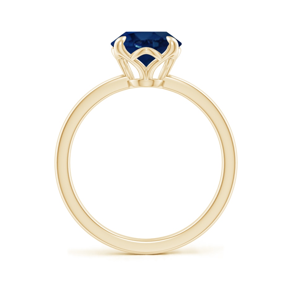 10x8mm AA Solitaire Oval Blue Sapphire Classic Engagement Ring in Yellow Gold side 199