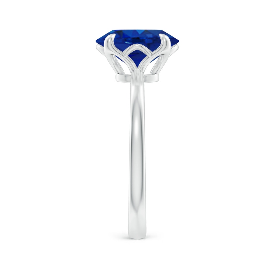 10x8mm AAA Solitaire Oval Blue Sapphire Classic Engagement Ring in P950 Platinum side 299