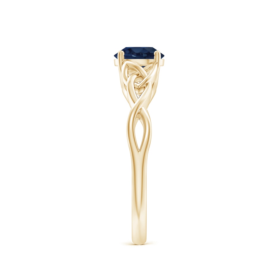 6mm AA Round Blue Sapphire Celtic Knot Engagement Ring in Yellow Gold side 299