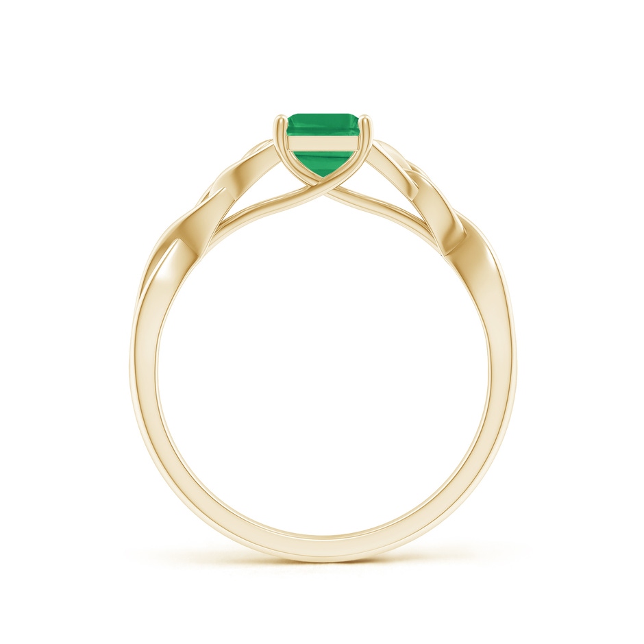 7x5mm A Emerald-Cut Emerald Celtic Knot Engagement Ring in Yellow Gold side 199