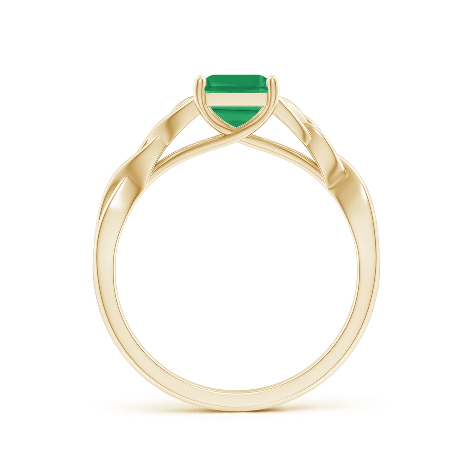 8x6mm A Emerald-Cut Emerald Celtic Knot Engagement Ring in Yellow Gold side 199