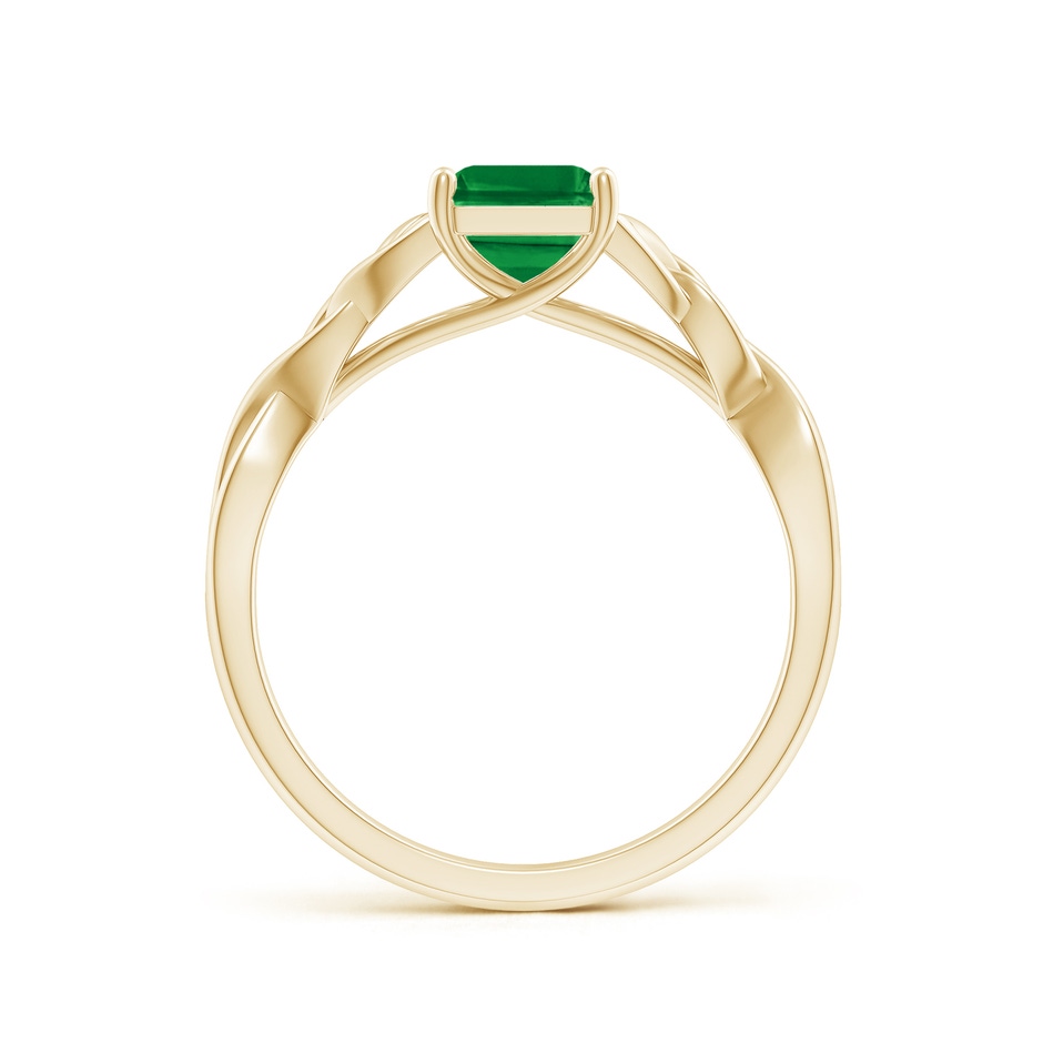 8x6mm AAA Emerald-Cut Emerald Celtic Knot Engagement Ring in Yellow Gold side 199