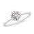 3/4 carat