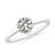 3/4 carat