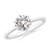1 carat