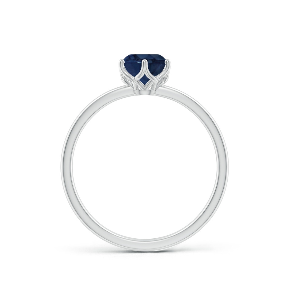 6mm AA Round Blue Sapphire Solitaire Classic Engagement Ring in P950 Platinum side 199