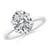 2 1/2 carats