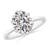 2 1/2 carats