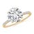 3 1/4 carats