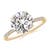 3 1/4 carats