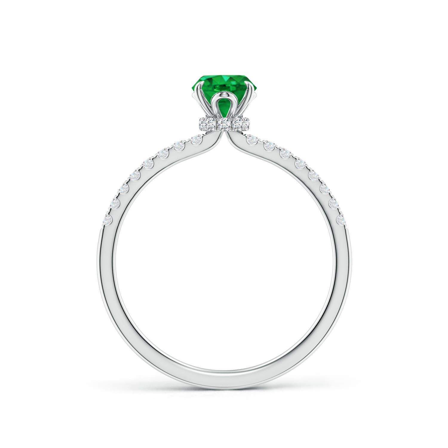 7x5mm AAA Oval Emerald Hidden Halo Engagement Ring in P950 Platinum - side 2