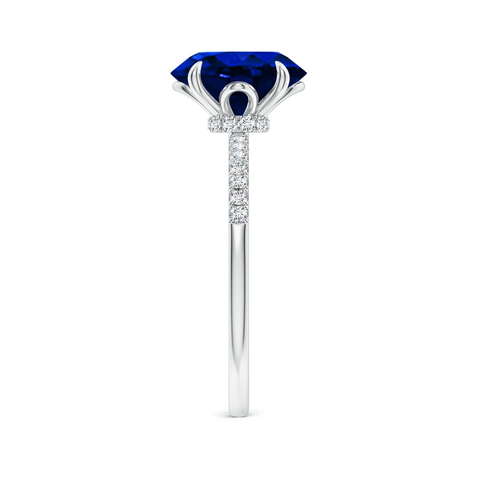 10x8mm AAAA Oval Blue Sapphire Hidden Halo Engagement Ring in P950 Platinum side 299