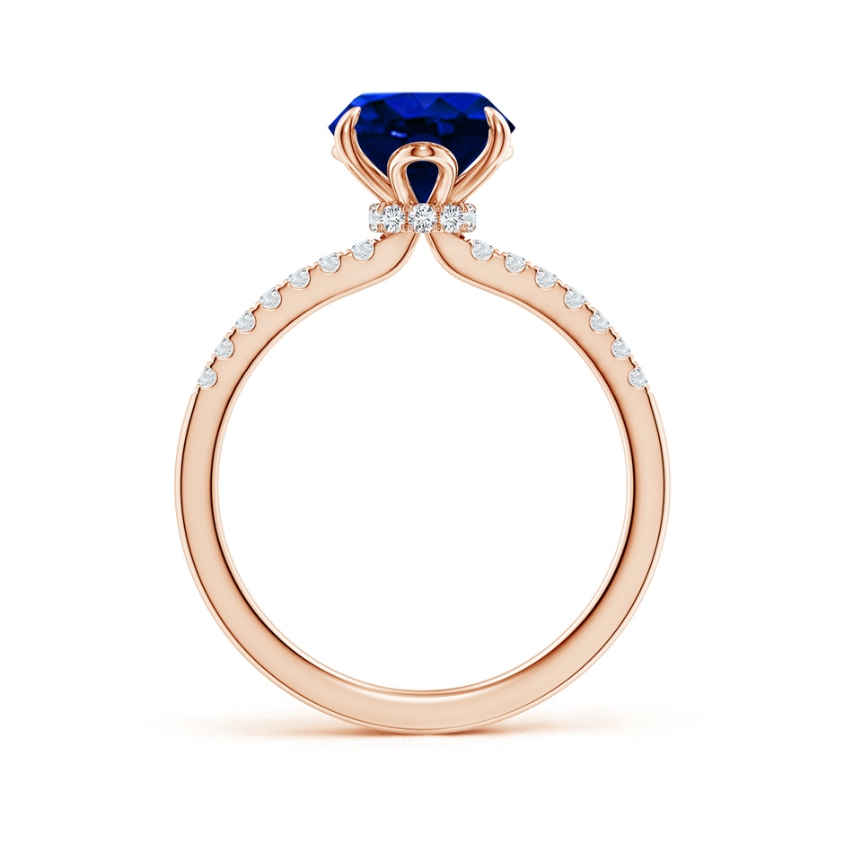 10x8mm AAAA Oval Blue Sapphire Hidden Halo Engagement Ring in Rose Gold side 199