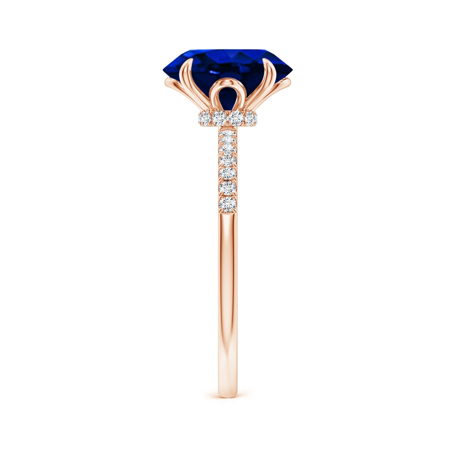 10x8mm AAAA Oval Blue Sapphire Hidden Halo Engagement Ring in Rose Gold side 299