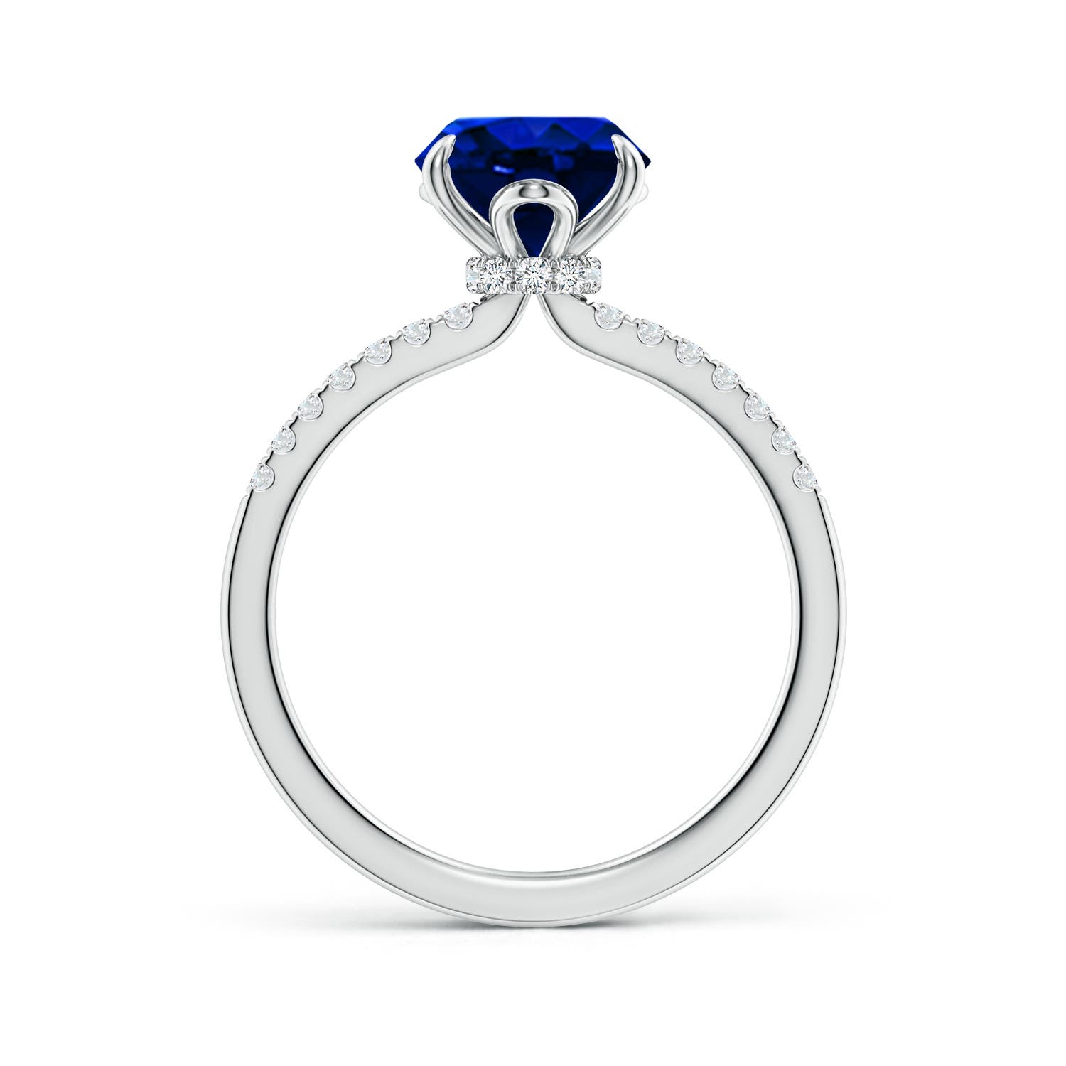 10x8mm AAAA Oval Blue Sapphire Hidden Halo Engagement Ring in White Gold