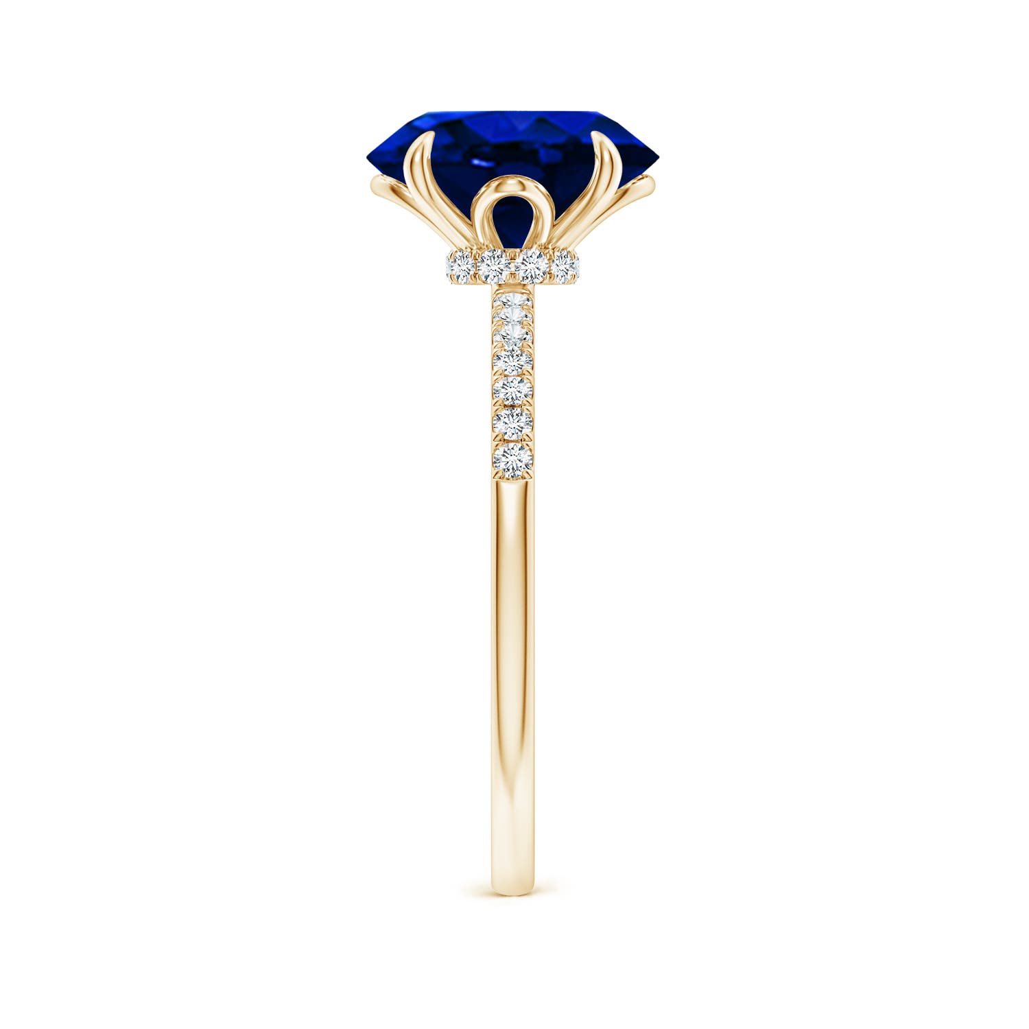 10x8mm AAAA Oval Blue Sapphire Hidden Halo Engagement Ring in Yellow Gold - side 3