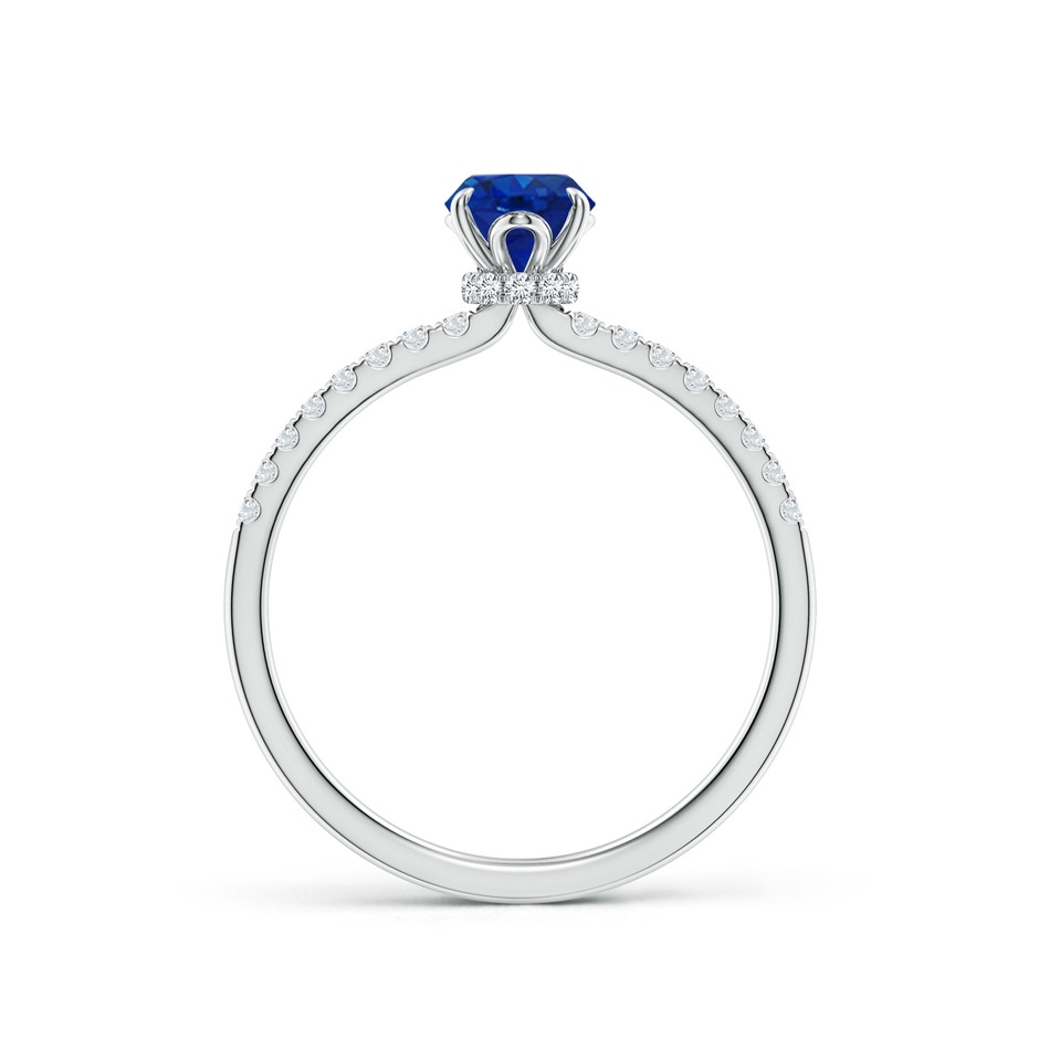 7x5mm AAA Oval Blue Sapphire Hidden Halo Engagement Ring in White Gold side 199