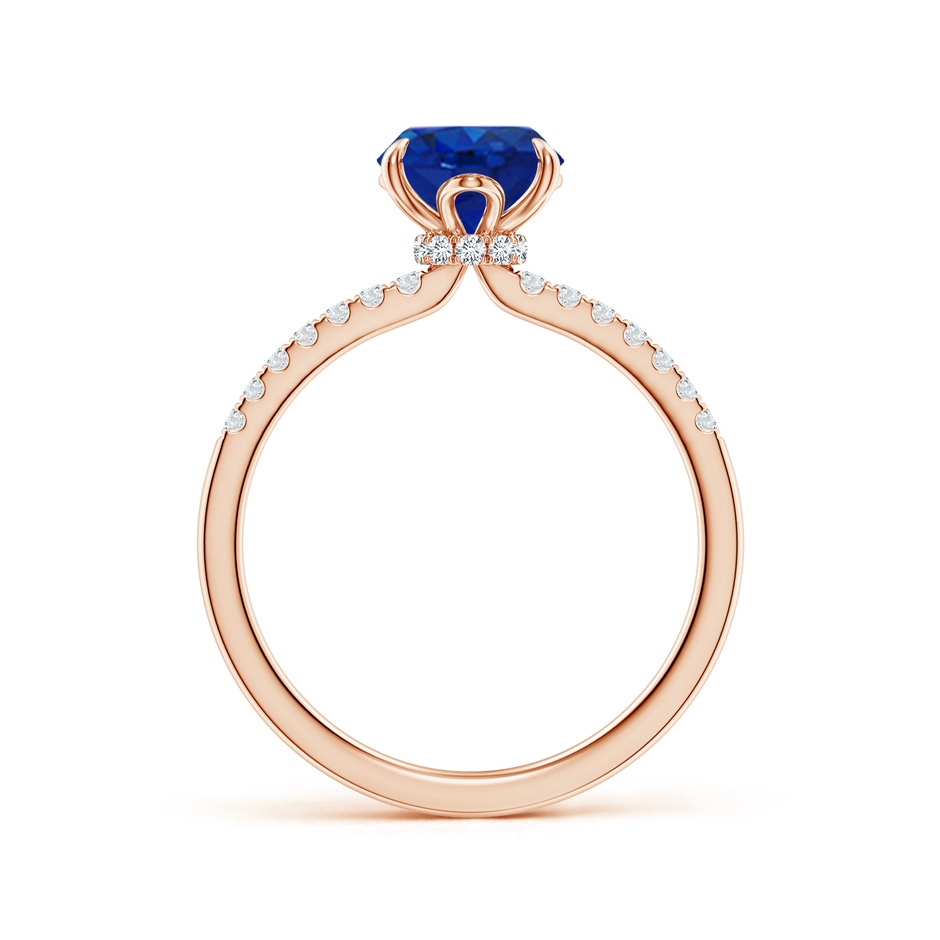 9x7mm AAA Oval Blue Sapphire Hidden Halo Engagement Ring in Rose Gold side 199