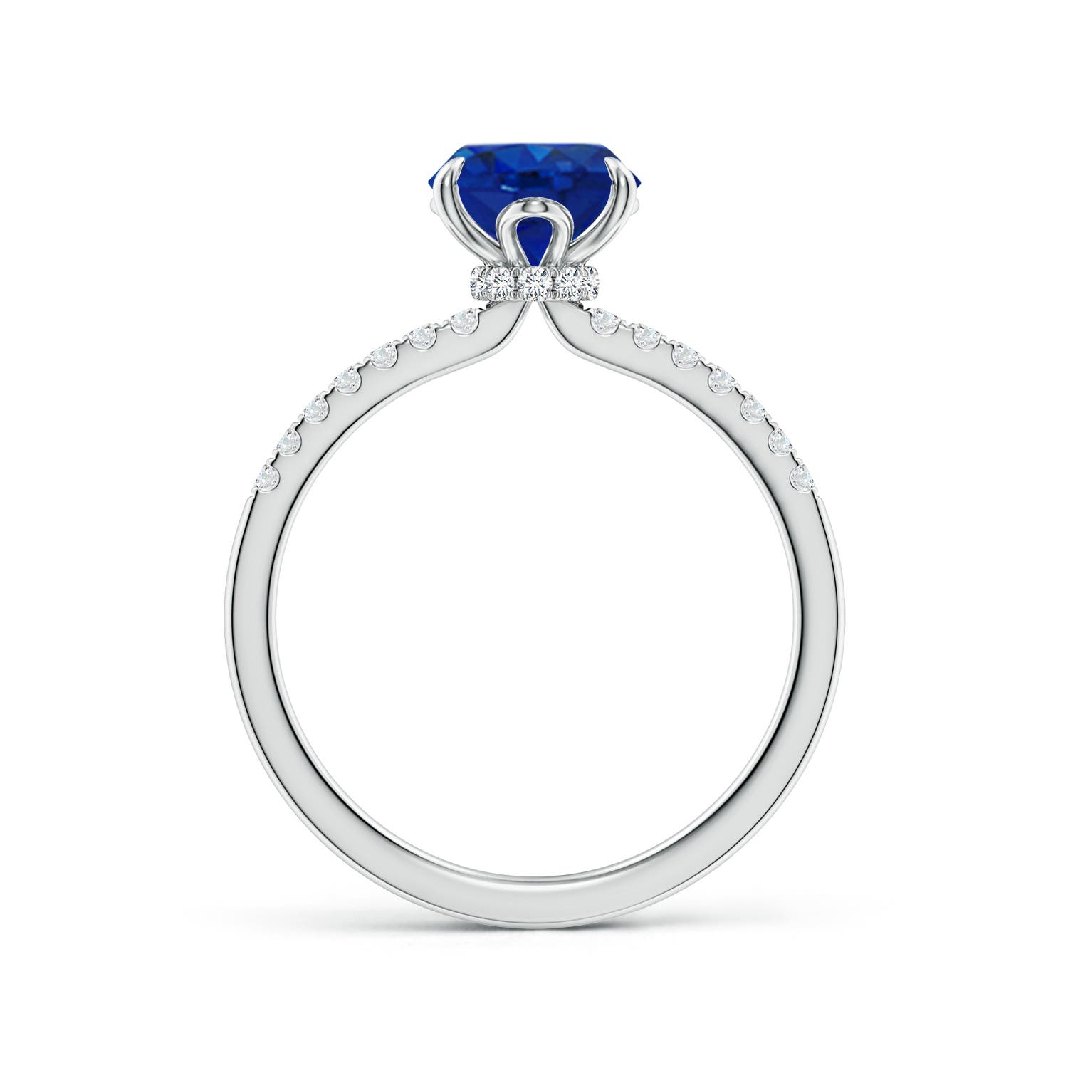 9x7mm AAA Oval Blue Sapphire Hidden Halo Engagement Ring in White Gold