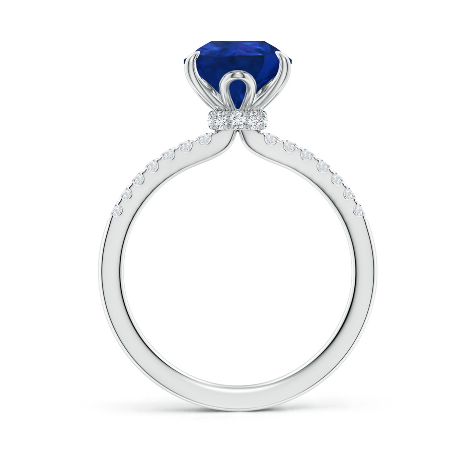 10x8mm AAA Pear-Shaped Blue Sapphire Hidden Halo Engagement Ring in P950 Platinum side 199