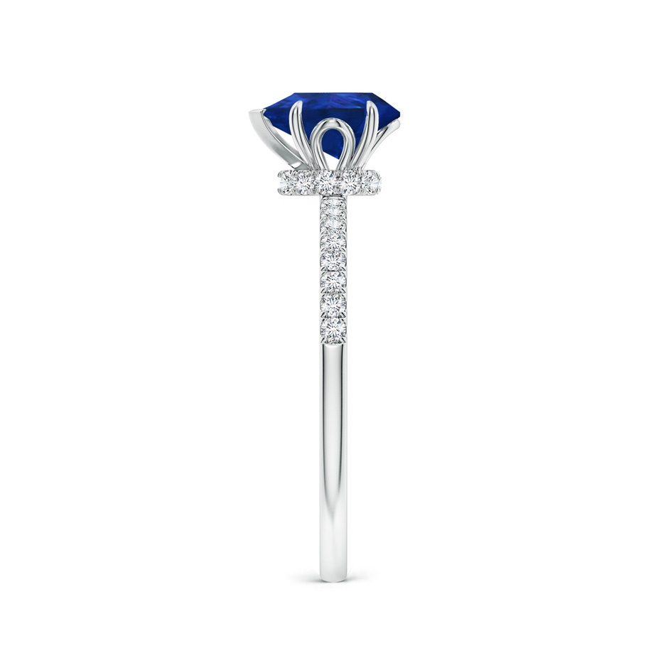 8x6mm AAA Pear-Shaped Blue Sapphire Hidden Halo Engagement Ring in White Gold side 299