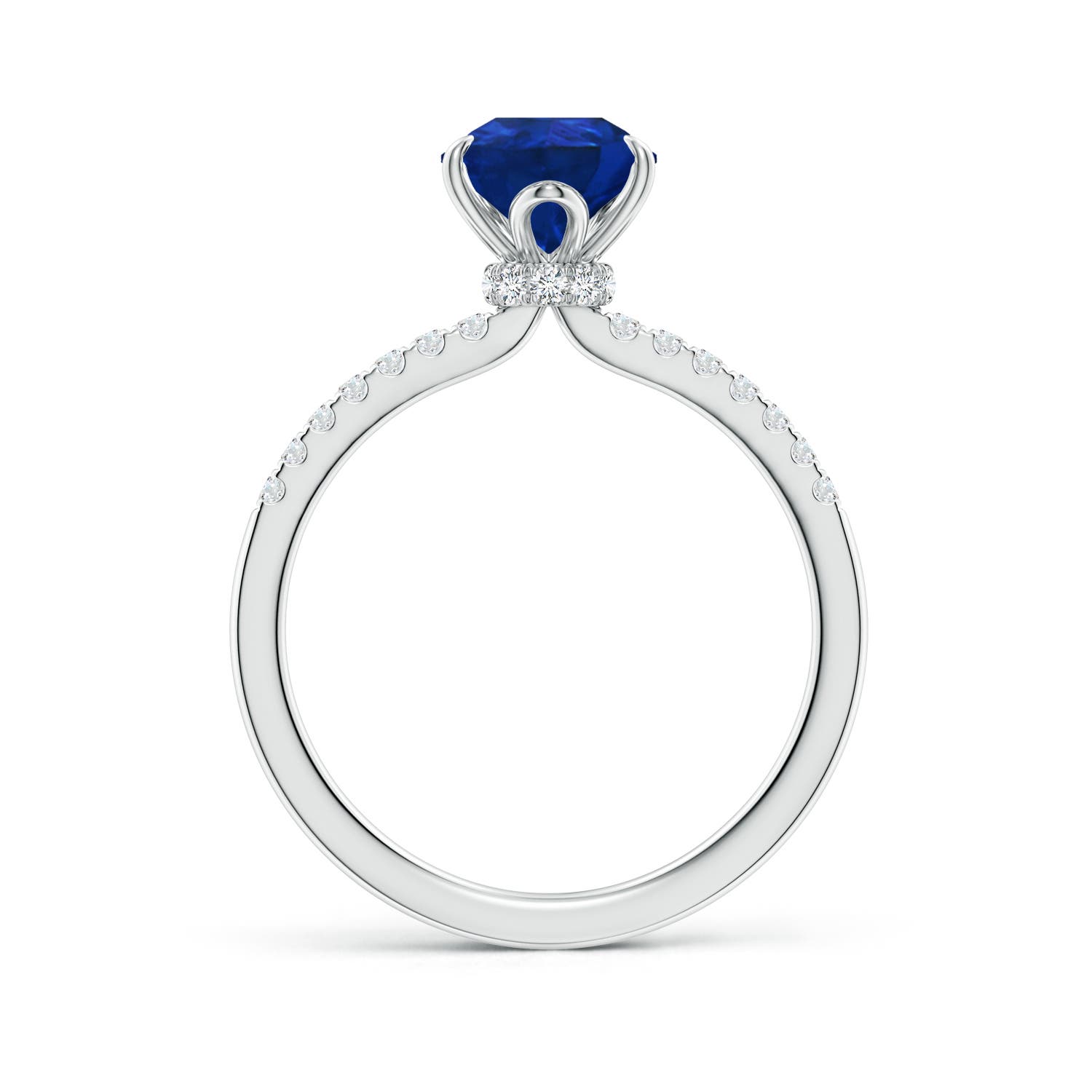 9x7mm AAA Pear-Shaped Blue Sapphire Hidden Halo Engagement Ring in White Gold - side 2