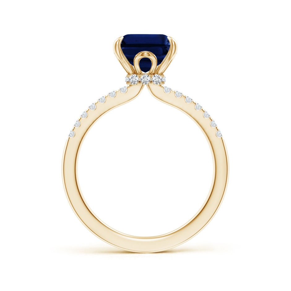 10x8mm AAA Emerald-Cut Blue Sapphire Hidden Halo Engagement Ring in Yellow Gold side 199