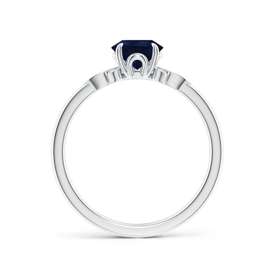 8x6mm A Nature-Inspired Pear-Shaped Blue Sapphire Engagement Ring in White Gold side 199